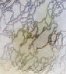 Delta Frost obscure glass sample