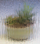 Rain obscure glass sample