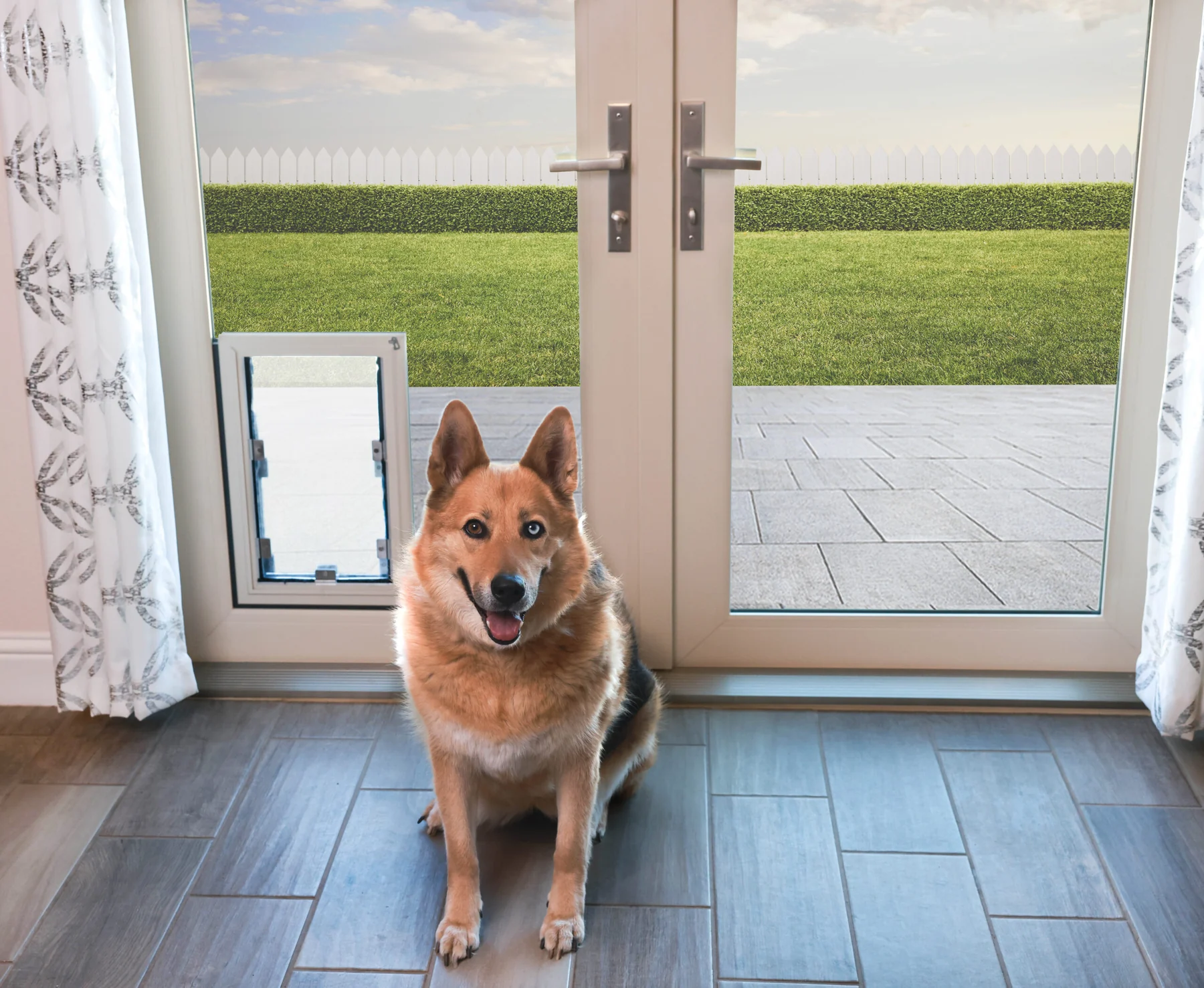 Dog using a pet door integrated into patio-door glass