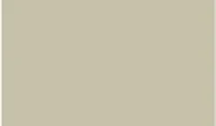 Tan Anlin frame color sample