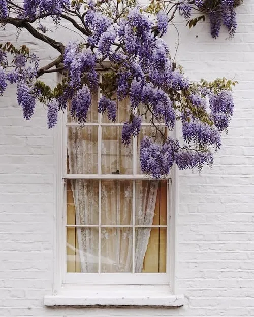DIY vs. Professional Window Installation: Pros and Cons