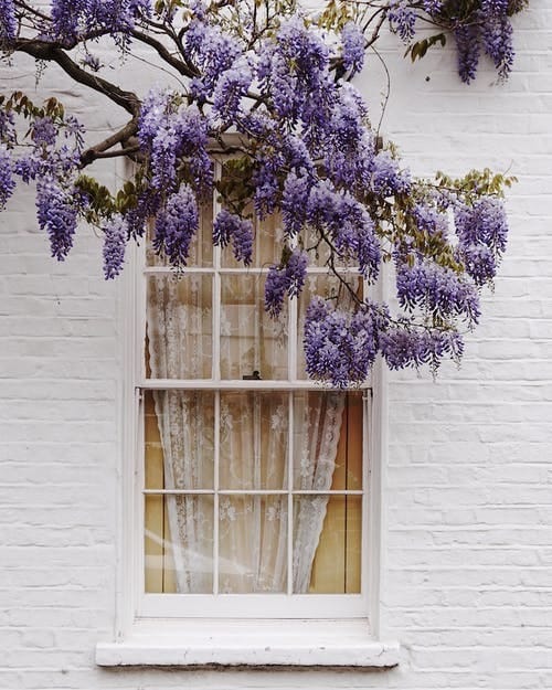 You are currently viewing Top Trends in Modern Window Design for 2024