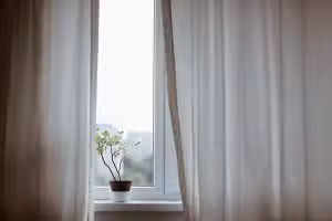 Read more about the article Window Treatments: Blinds, Curtains, and Shutters